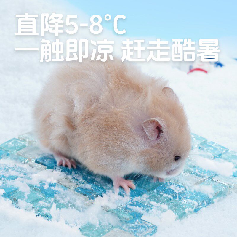 仓鼠冰垫夏天降温板散热用品宠物屋金丝熊兔子凉席垫避暑神器冰窝
