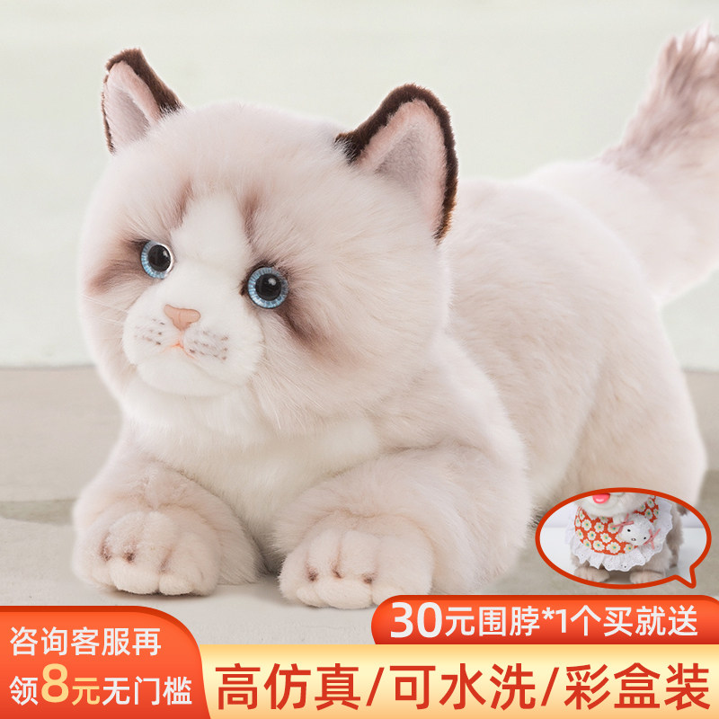 科迈特布偶猫玩偶彷真猫咪毛v绒公仔趴睡造型 PP棉填充绒布材质