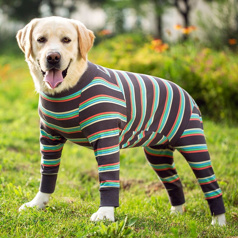 新款大型狗狗衣服四脚衣秋季金毛拉布拉多萨摩大狗全包护肚防掉毛