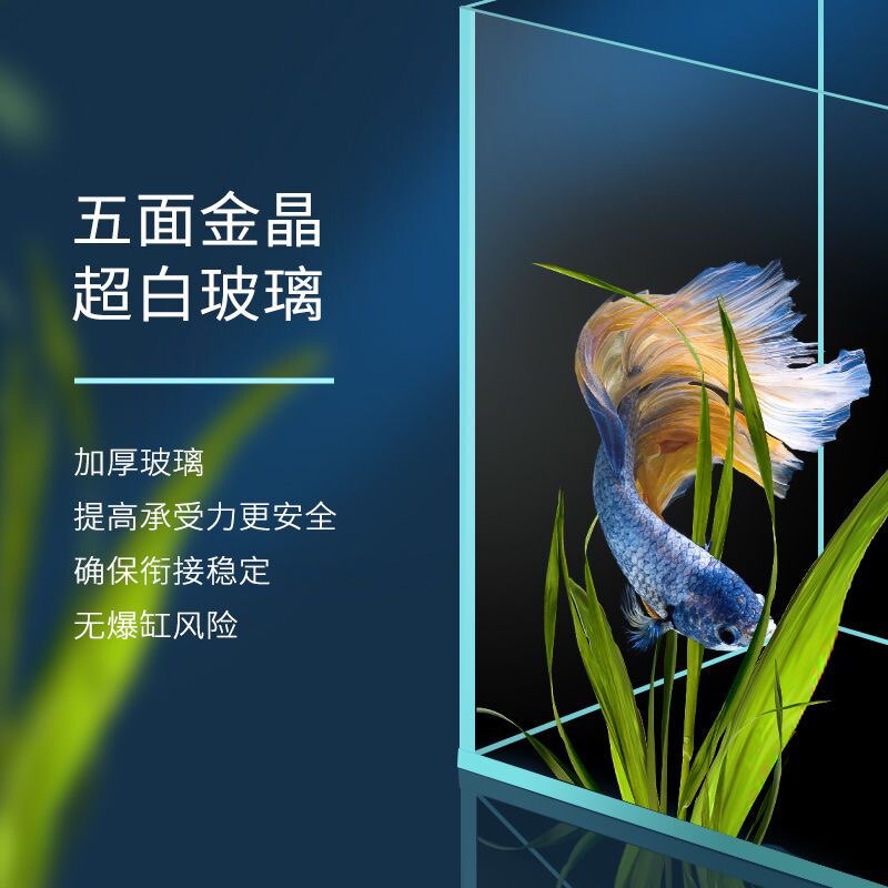 金晶超白玻璃鱼缸定制长方形大型小型裸缸客厅造景60cm80草缸龟缸