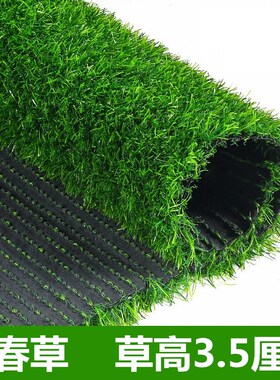草坪青苔假苔藓装饰户外室内阳台绿色地毯垫子塑料人造假草皮