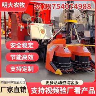 牧草履帶圓盤青儲(chǔ)機(jī)甜象草收獲機(jī)皇竹草收割機(jī)青貯飼料粉碎收獲機(jī)