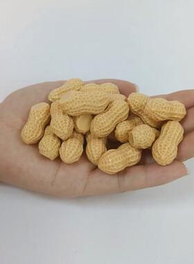 现货仿真迷你花生装饰摆件