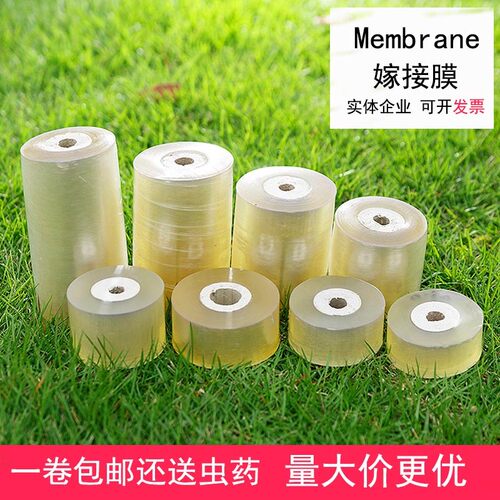嫁接膜果a树缠绕膜嫁接专用塑料薄膜自粘嫁接剪刀透明拉伸膜保温