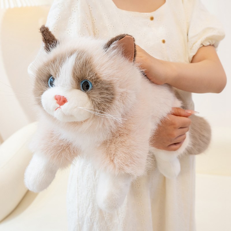 可爱布偶猫公仔小猫咪毛绒玩具y女生床上睡觉抱玩偶陪睡布娃娃礼