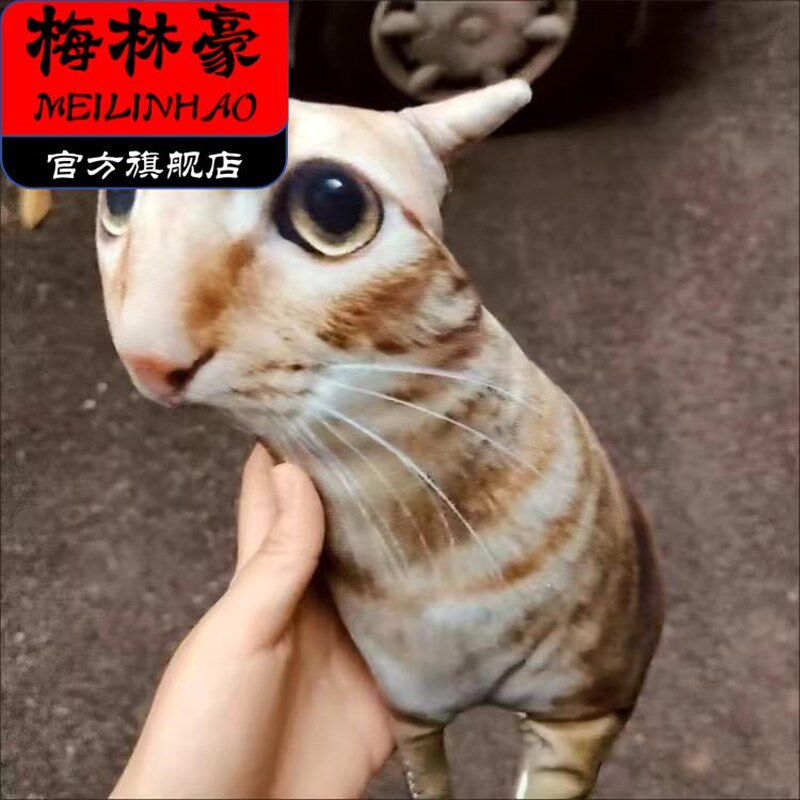 把毛孩子封印在抱枕上宠x物抱枕定制无白边来图抱枕定制印照