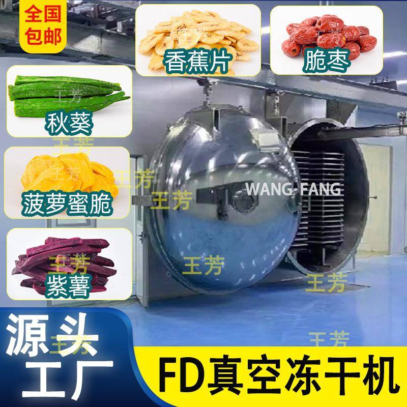 50平方果蔬脆真空冻干干燥机水果草莓脆30平方FD低温冷冻冻干机