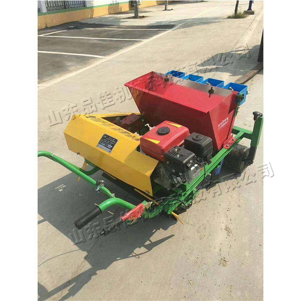 全自动大蒜播种机小型手推式农用种蒜机锥形螺旋蒜瓣点播机,农机/农具/农膜,播种栽苗器/地膜机,淘宝优惠券,粉丝福利购,淘宝优惠卷