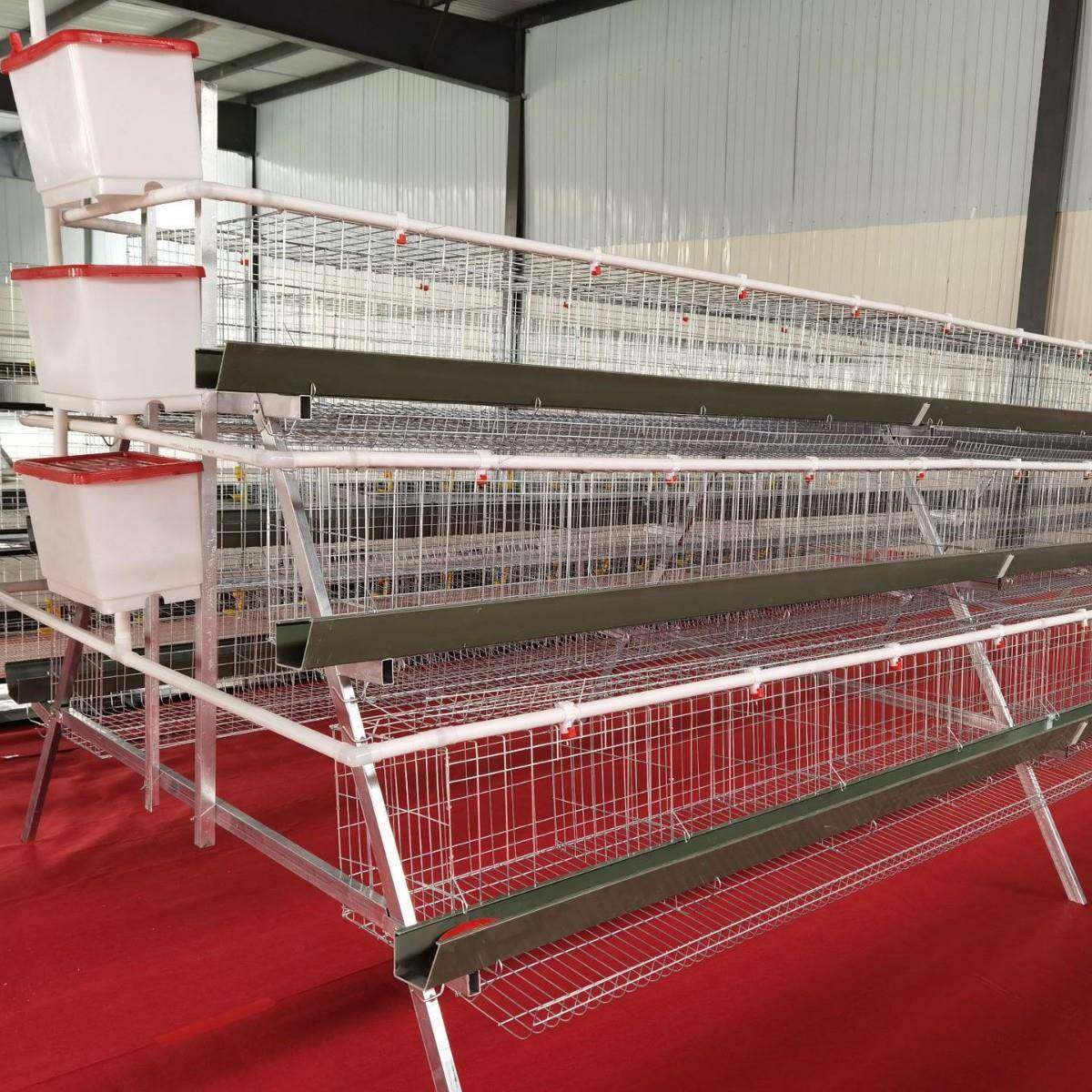 角铁支架阶梯蛋鸡笼3层4门绿槽层叠式养殖鸡窝设备热镀锌自动出蛋,畜牧/养殖物资,特种养殖设备,淘宝优惠券,粉丝福利购,淘宝优惠卷