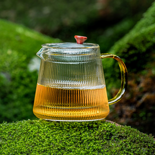 泡茶壶玻璃家用耐高温茶水分离沏茶急须壶功夫绿茶具手抓煮红茶器