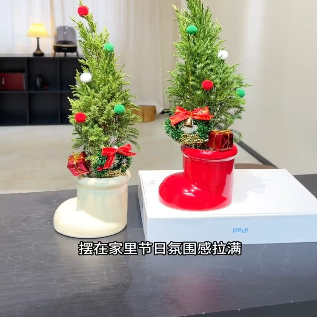小红书圣诞树盆栽办公室
