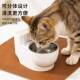 创意马桶猫咪狗狗水碗悬挂式 防打翻护颈骗水神器猫猫宠物自动喂食