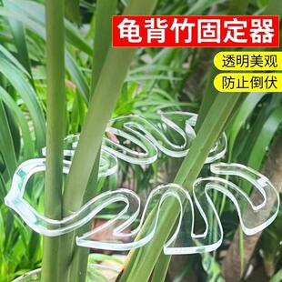 龟背竹支撑杆龟背支架花支撑架枝干收拢夹防枝干绿竹固定花架