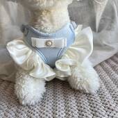 宠物猫咪狗狗小型犬背心式 胸背带牵引绳遛狗遛猫绳韩系花边蝴蝶结