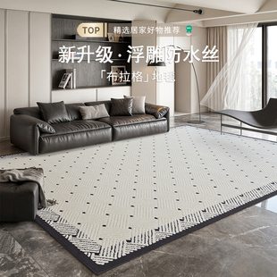 免洗可擦轻奢高级感硅藻丝防水防污大面积沙发 地毯客厅2024新m款