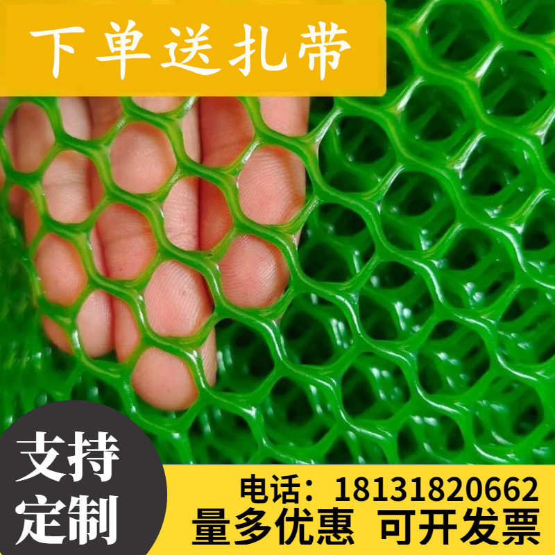 加厚绿色塑料平j网养殖漏粪网床鸡鸭鹅脚垫网格片蜂网防护网育雏