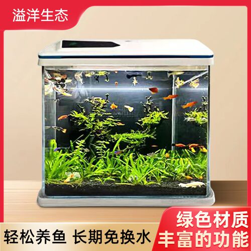 桌面小鱼缸玻璃鱼缸客厅小型家用桌面养鱼L生态缸新款长方形水族