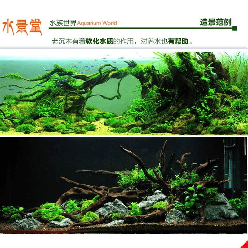 沉木造景套e餐 水j草缸 水草鱼缸装饰小摆件懒人造景假山底砂造景