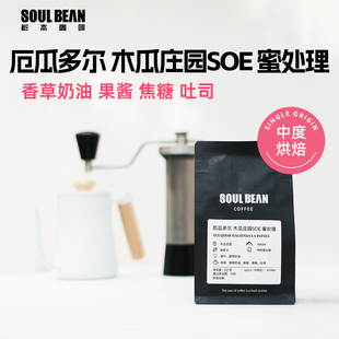 树本 厄瓜多尔中烘SOE密处理木瓜庄园理精品手冲咖啡豆150g