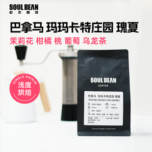树本 巴拿马波奎特玛玛卡特庄园水洗瑰夏精品手冲咖啡豆150g