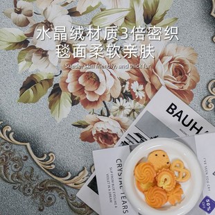 入户门地垫高级感进门进户入户门口门垫家用门外脚垫防滑地毯 欧式