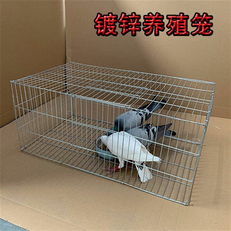 鸽子养殖笼兔笼大号鸡笼家v用镀锌铁丝笼运输笼鹌鹑笼宠物兔笼大