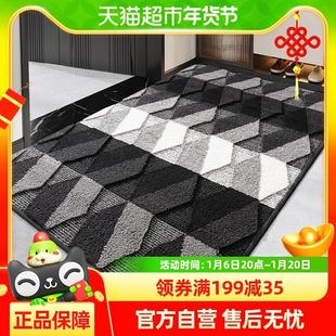 大江进门地垫入户门垫门口脚垫进户门防滑垫家用玄关垫子