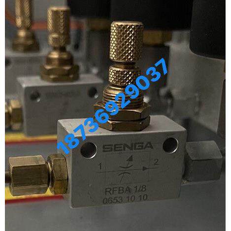 止逆阀SENGA/RFBA/1/8节流阀 原装AR