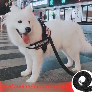 狗狗牵引绳子背心式胸背带柴犬萨摩耶金毛中型大型犬遛狗绳狗炼子