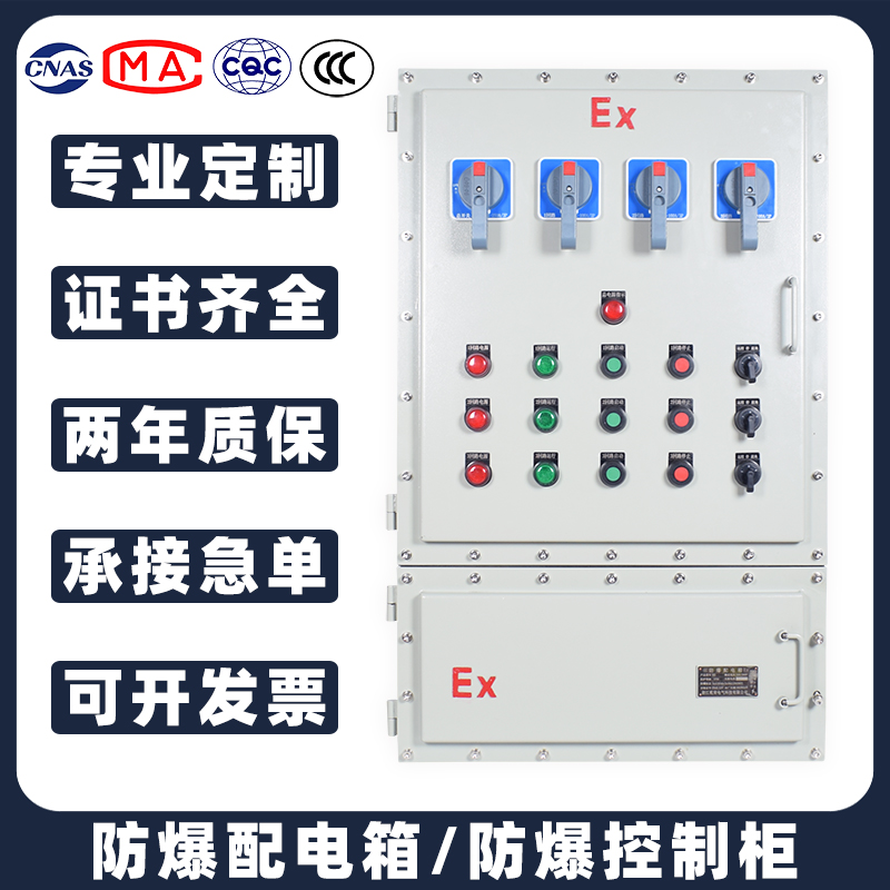 防爆配电柜配电箱软起动柜星三角起动箱变频器箱T控制电箱照明动