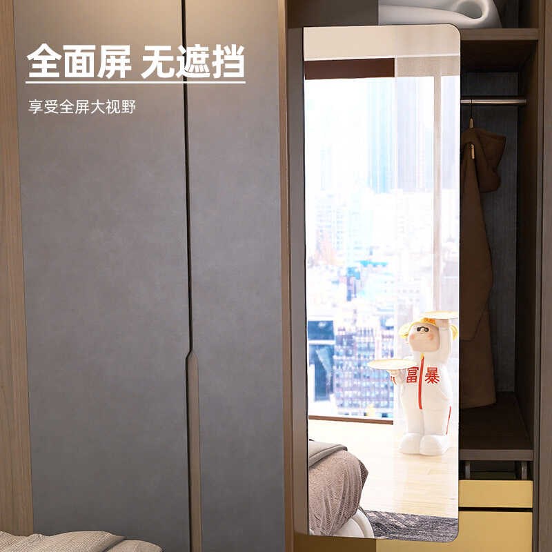 衣柜镜隐藏全身穿衣镜试衣镜平对开门柜内穿衣镜内置置隐形柜门镜