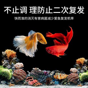 虫清灵大白片鱼用内外寄生虫头洞凸眼龙鱼罗汉鱼七彩观赏鱼杀虫腮