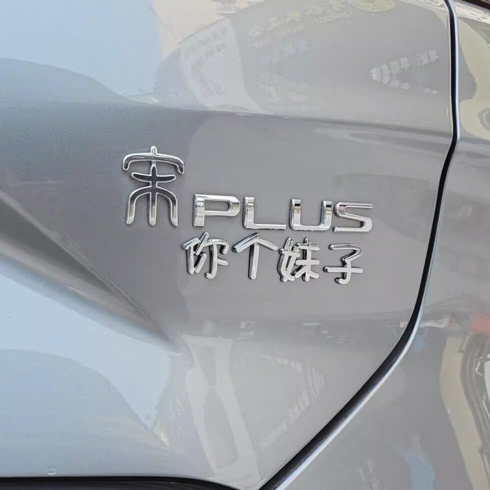 比亚迪宋你个妹子汽车车贴3D立体创意文字车标贴 ABS原车材质