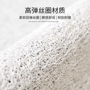 蓝色入户门地垫家用进门口除尘垫门外丝圈蹭脚垫自由裁剪地毯加厚