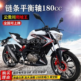 全新轻骑集团摩托车街跑车燃油复古链条平衡轴180c国四电喷可上牌