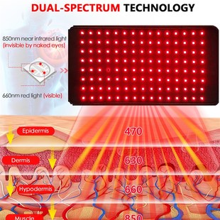Bod Red 660nm 850nm Therapy Newest LigOht LED Belt Infrared