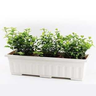 pot rectangular Pnlastic Balcony flower tray Basin with
