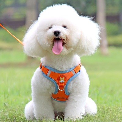 Dog Harness jDogs Leashs Mesh Chest Strap Supplies Adjustabl