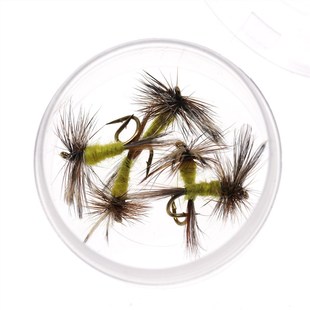 盒裝 蓑羽亞當斯飛蠅干式 毛鉤12 18號鱒魚馬口白條羅飛假餌