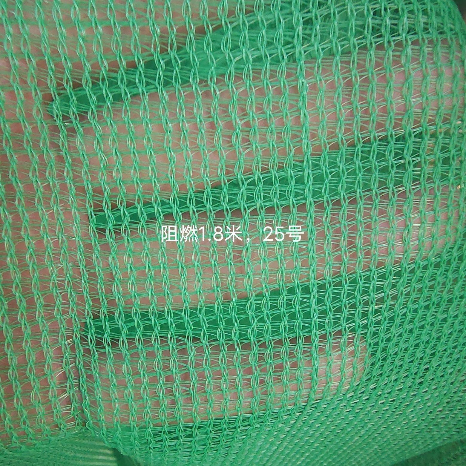 建筑安全网阻燃密目网工地工程电梯防护绿网防尘聚酯抗风化耐用