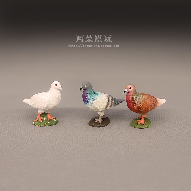 儿童认知仿真飞禽动物小模y型 鸽子信鸽和平鸽摆件鸟类模型