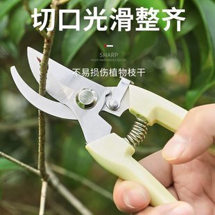 园艺果树修剪树枝园林枝剪省力剪枝剪子花卉花艺修剪树枝专用剪刀