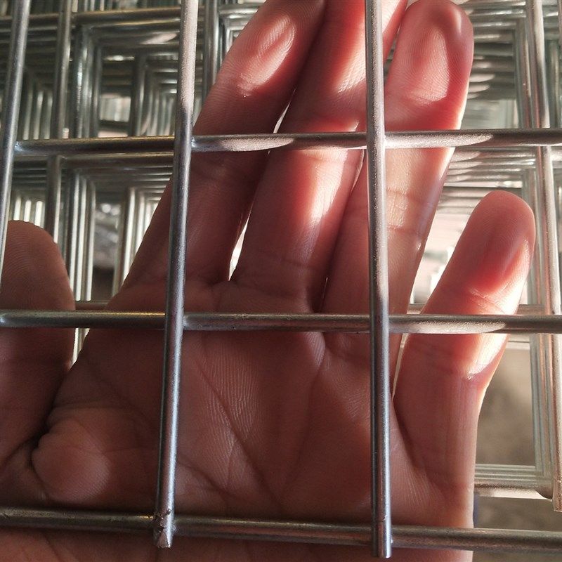 镀锌网格片鸽棚鸽舍养殖苗床笼子加粗方孔长孔防护小孔加密精品,五金/工具,护栏/隔离栏,淘宝优惠券,粉丝福利购,淘宝优惠卷