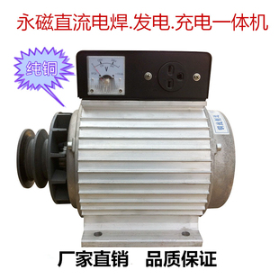 永磁发电机纯铜稀土变频直流无刷家用220V电焊机小型便携式