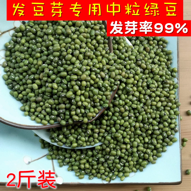 新货2斤新中粒发豆芽绿豆生绿豆芽豆1000g明绿豆粥汤东北农家自种