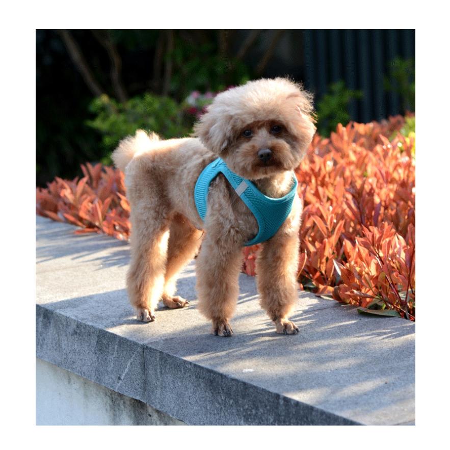 天台悦先狗狗牵引绳小型犬胸背带背心式猫咪外出专用防挣脱宠物栓