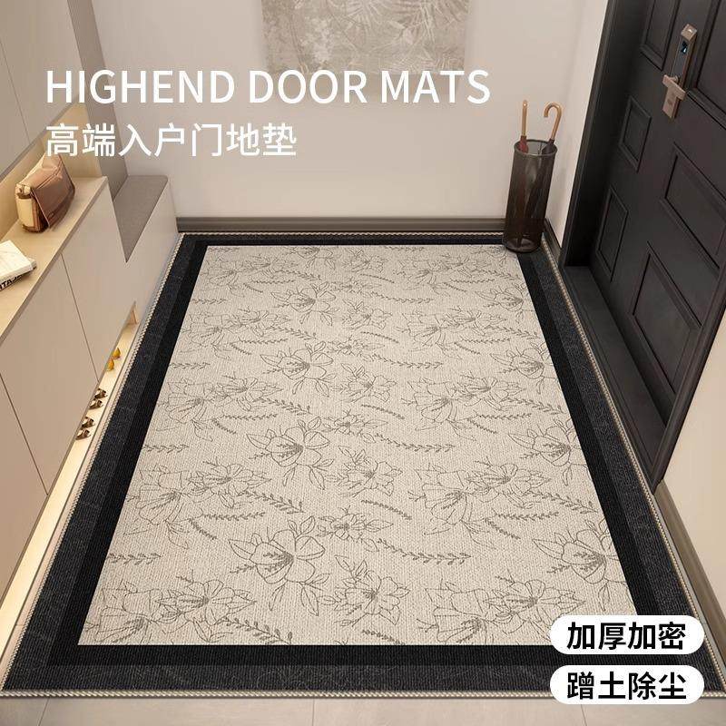 入户地垫门口进门入户门脚垫2025新款高级感玄关免洗可擦耐脏大门