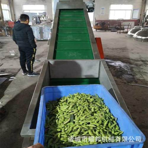 毛豆风选机 枸杞风选机 大型辣椒红枣风选筛选机