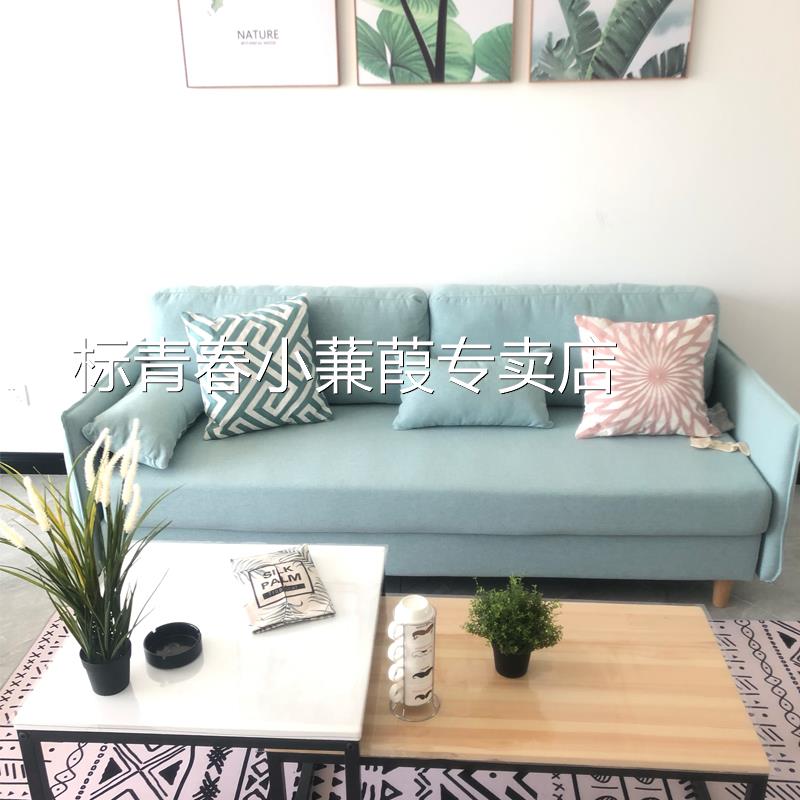 北欧沙发床多功能折叠坐卧两用客厅简约现代小户型布艺全拆洗沙发