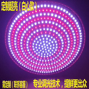 定制生鲜灯Led猪肉灯灯冷鲜肉超市灯熟食市场灯吊灯红光加亮3圈红